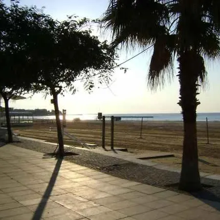 Molina * קמארוגה